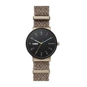 Skagen skw6453 online