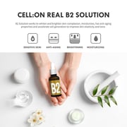 CELL:ON B2 Solution