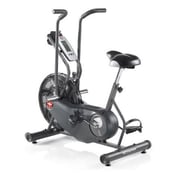 Schwinn Airdyne AD6 Bike