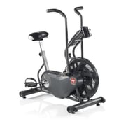 Schwinn Airdyne AD6 Bike