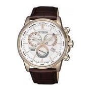 Citizen Eco-Drive Brown Leather Men Watch BL8153-11A