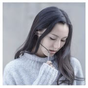 Xiaomi Mi In-Ear Headphones Pro HD Silver