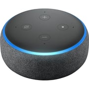 Starts Selling English-Only Echo Smart Speakers in the