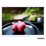 Tamron A037E 17-35mm F/2.8-4 DI OSD For Canon