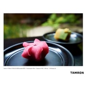 Tamron A037N 17-35mm F/2.8-4 Di OSD For Nikon