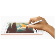 iPad (2019) WiFi 128GB 10.2inch Gold