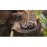 Xbox One Zoo Tycoon Game