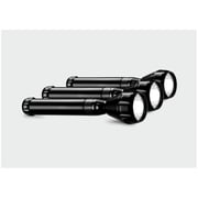 Impex CB 2225 LED Flashlight 3 Pcs Combo