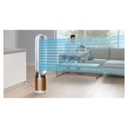 Dyson Pure Cool Cryptomic Purifying Fan - TP06 - Middle East Version