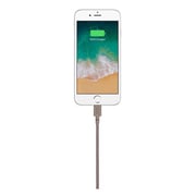 Native Union Belt Lightning Cable 1.2m Rose