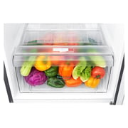 LG Top Freezer Refrigerator 335 Litres B402SLCB Smart Inverter Compressor Pull-out Tray Big Size Veggie Box