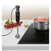 Bosch Hand Blender MS61B6170