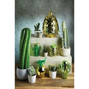 BarCraft 400ml Glass Cactus Drinks Jar with Straw Gift Tagged