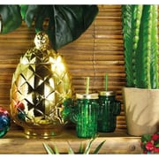 BarCraft 400ml Glass Cactus Drinks Jar with Straw Gift Tagged