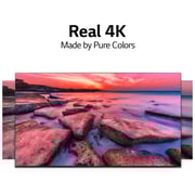 LG 65NANO80 4K Smart Cinema Screen Design NanoCell TV (2020 Model)