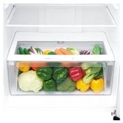 LG Top Freezer Refrigerator 393 Litres GN-B492SLCL Smart Inverter Compressor Pull-out Tray Big Size Veggie Box