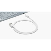 Google USB-C to USB-A Cable 1m White (International Version)