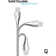 IQ Spring Metal USB Type C Cable 1M Assorted