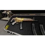 PS4 Gun Club Vr Game