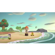 Nintendo Switch Animal Crossing New Horizon Game