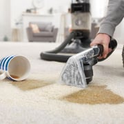 Hoover Platinum Power Max Carpet Cleaner Black CWKTH012