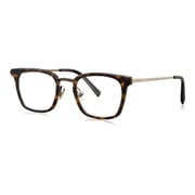 Bolon Aviator Brown Frames Unisex BJ6016-B20-48