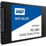 Western Digital PC SSD 1TB Blue 718037855233