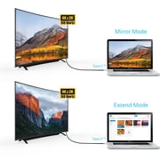 كابل بروميت منفذ  HDMI  إلى منفذ  Type C  طول  1.8  ممل أسود وفضي