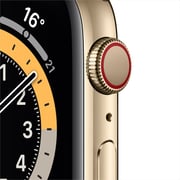 Apple Watch Series 6 GPS+Cellular 40mm Gold Stainless Steel Case with Gold Milanese Loop - Middle East Version