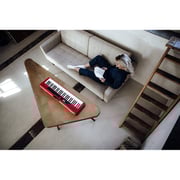 Casio Portable Keyboard with Adaptor CTS-200RD+ADE95100-R