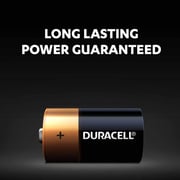 Duracell Long Lasting C Battery Black and Gold (Pack of 2pcs)