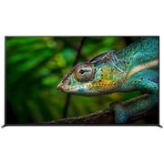Sony KD55A8H 4K UHD OLED Smart Television 55Inch (2020 Model)