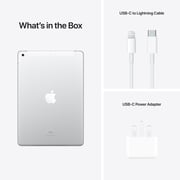 iPad 9th Generation (2021) WiFi+Cellular 64GB 10.2inch Silver Middle East Version with FaceTime