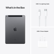 iPad 9th Generation (2021) WiFi+Cellular 256GB 10.2inch Space Grey Middle East Version with FaceTime