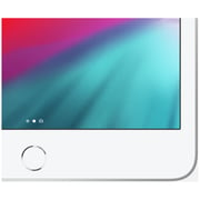 iPad mini (2019) WiFi 64GB 7.9inch Silver