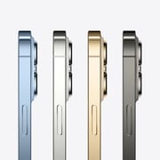 Apple iPhone 13 Pro Max (1TB) - Silver