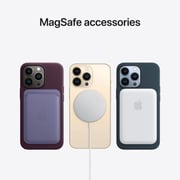 iPhone 13 Pro Max 256 جيجابايت Silver (FaceTime فعلي مزدوج الشريحة - المواصفات الدولية)
