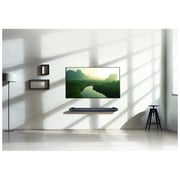 LG SIGNATURE 65W7V 4K Smart OLED Television 65inch (2018 Model)