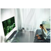LG SIGNATURE 65W7V 4K Smart OLED Television 65inch (2018 Model)