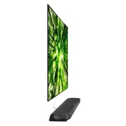 LG 65W8PVA 4K Smart OLED Television 65inch (2018 Model)