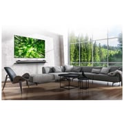 LG 65W8PVA 4K Smart OLED Television 65inch (2018 Model)