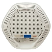 Linksys LAPN300 Business Access Point Wireless With POE