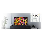 Panasonic TH65FX430M 4K UHD Smart LED Television 65inch (2018 Model)