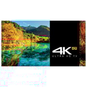 Panasonic TH55FX700M 4K UHD Smart LED Television 55inch (2018 Model)