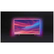 Philips 65PUT7374/56 4K UHD Smart LED Android Television 65inch (2019 Model)