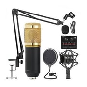 Microphone With Sound Card Set