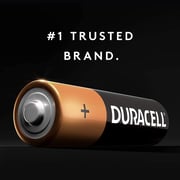 Duracell Battery AA 2 Pack Monet