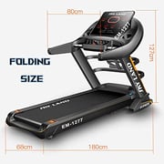 Skyland EM-1277 Automatic Foldable Treadmill with massager 5.5 HP Peak Motor