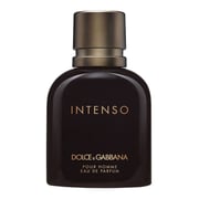 Dolce & Gabbana Intenso EDP 40ml Men