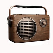 LuguLake R9 Handheld Multi-Function Bluetooth Speaker PA System With Power Bass, FM Radio, Mic Input